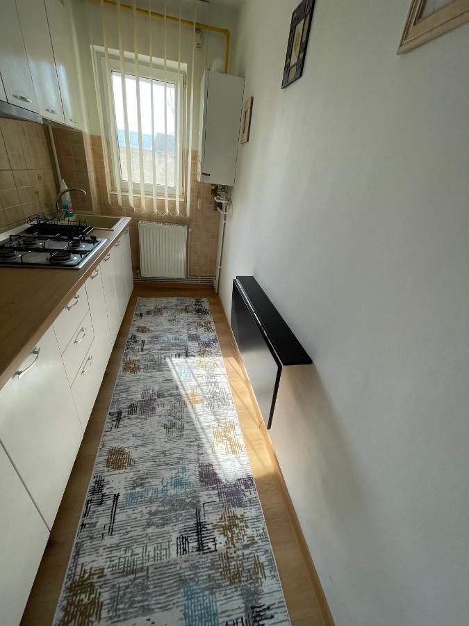 Apartment Cina Husi
